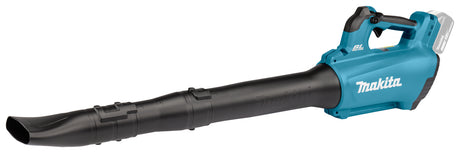 soffiatore con tubo prolunga e bocchetta angolata